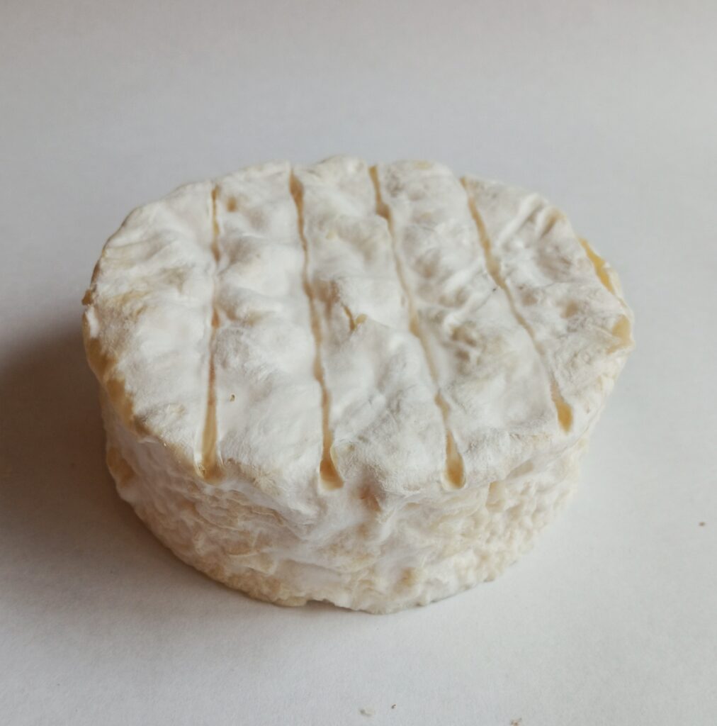 capribert
fromage au lait de chèvre
Planète Fromages